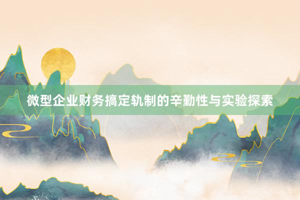 微型企业财务搞定轨制的辛勤性与实验探索